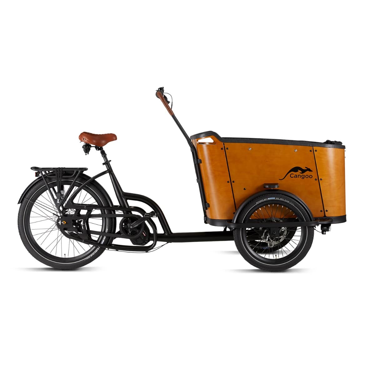 cangoo-buckle-33-min.jpg cangoo-buckle-33-min.jpg